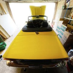 Jules TR6