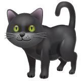 cat1.jpg.c3abe122f891540d45ff2e4b3596a700.jpg