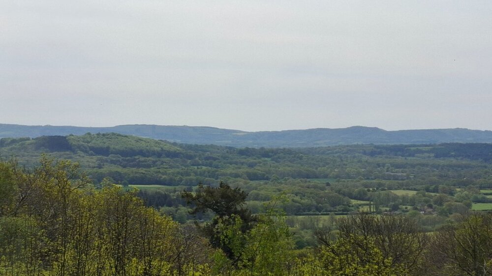 20260426_130547.jpg