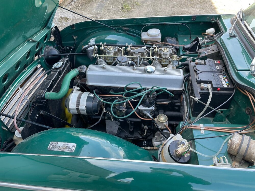 250 engine bay.jpg