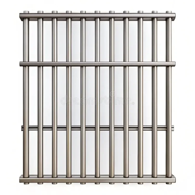 Bars.webp